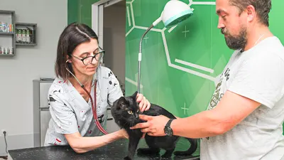 Gabinet weterynaryjny Ogoniaści.pl